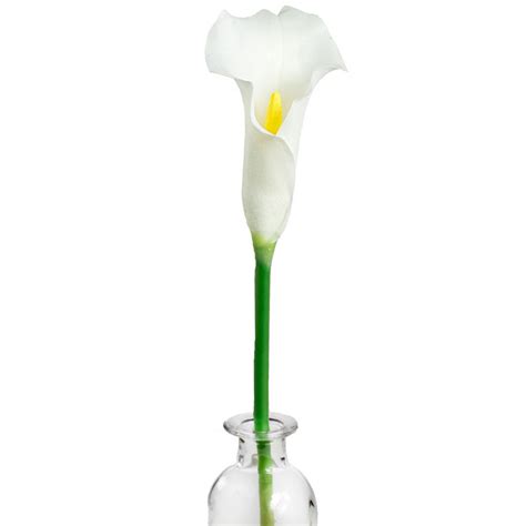 22 calla lily flower stem white [29334cm]