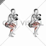 Squat Dumbbell sketch template