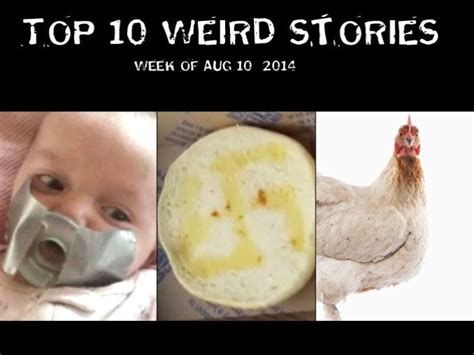 top 10 weird stories week of aug 10 2014