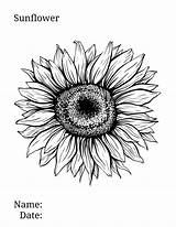 Realistic Sublimation Bl Utdragen Inkt Getrokken Tinten Wildflower Zwart Manages Minutes Mamasmusthaves sketch template