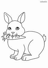 Hase Hasen Rabbit Ausmalen Ausmalbilder Möhre Ausmalbild Malvorlagen Carrot Süßer Kostenlos Rabbits Pages Süßes Malvorlage sketch template