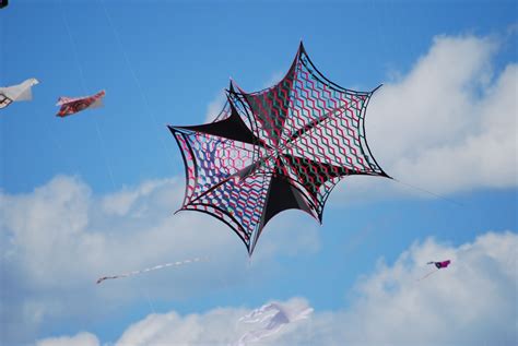 kite  difficult  categorize      interesting design tp   kite