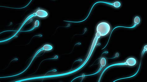 are sperm counts really dropping worldwide bbc future