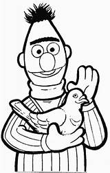 Pigeon Coloring Pages Bert Sesame Street Animated Pigeons Kids Color Coloringpages1001 sketch template