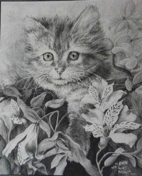 gallery  realistic drawings  cats