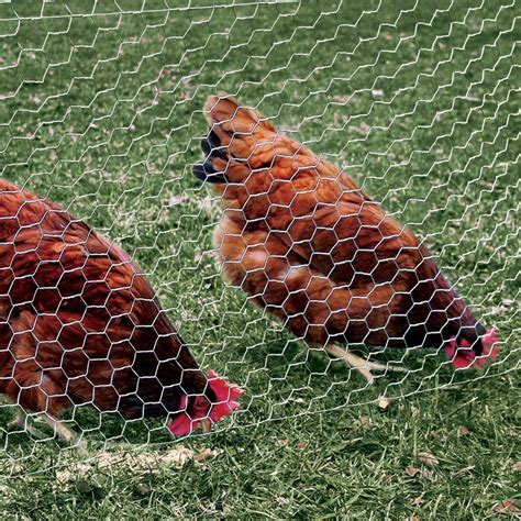 galvanized poultry netting animal safety plant protection fence chicken