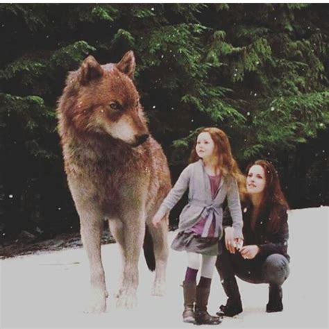 Sue Cheng On Twitter Renesemee Bella Swan And Jacob Black In Wolf