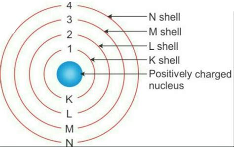 draw  diagram  bohrs model   atom showing  energy shells brainlyin