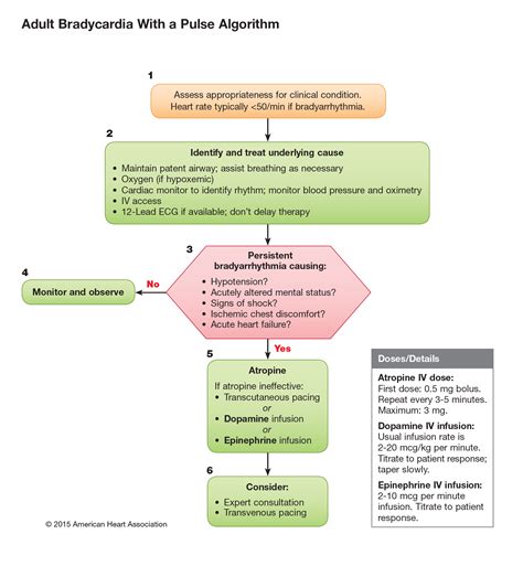 Acls Revision Symptomatic Bradycardia Emergency Medicine Kenya