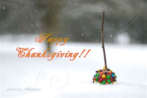 happy thanksgiving day  hd wallpapers facebook cover  designbolts