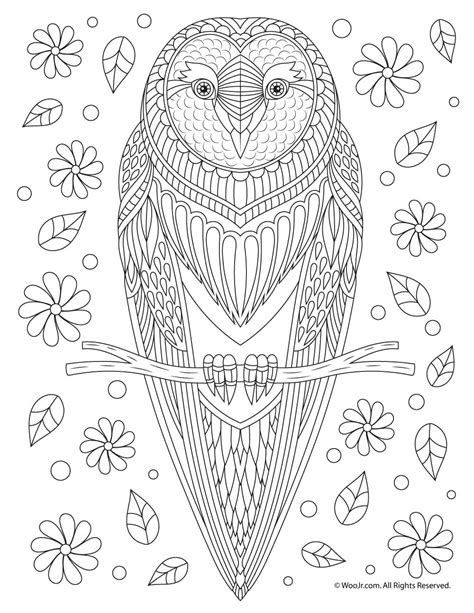 owl adult coloring page woo jr kids activities