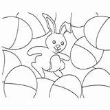 Eggs Bunny Surfnetkids Coloring sketch template