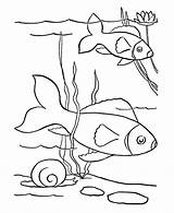 Coloring Fish Pet Pages Printable Kids Pond Printables Sheets Book Print Cutouts Color Drawing Clipart Pets Popular Library Line Coloringhome sketch template