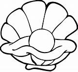 Shell Coloring Pages Printable Nature Clam Drawing Kb sketch template