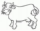 Cow Coloring Pages Cartoon Animals Printable Dairy Cows Clipart Moo Spots Cliparts Drawing Print Colouring Color Para Clip Easy Animal sketch template