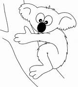 Koala Coloring Pages Animal Zoo Color Animals Printable Bear Kids Sheets Tree sketch template
