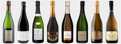 terroir  champagne  soul wine searcher news features