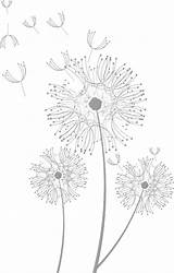 Dandelion Fluff Dandelions Creazilla Wildflower Stem sketch template