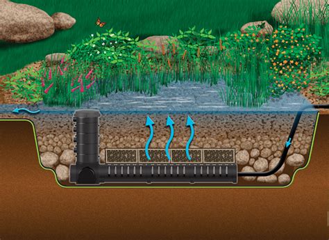 wetland filtration offers simple path  clear water pond trade magazine