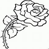 Rosen Ausmalen Blumen Malvorlage Okanaganchild sketch template