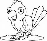 Coloring Parrot Fish Pages Baby Getcolorings Getdrawings Cartoon sketch template