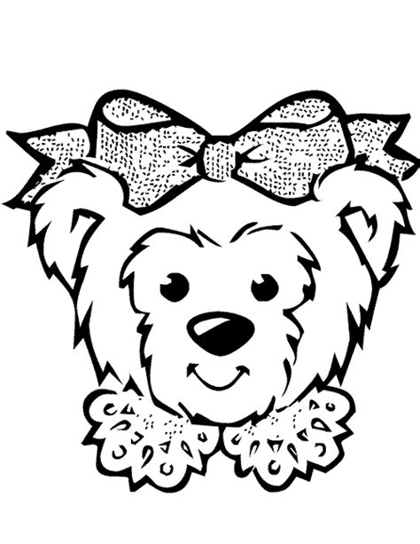 teddy bear faces coloring bear face girl coloring pages bear face