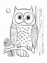 Owl Coloring Pages Baby Owls Cute Adult Simple Kids Drawing Printable Cool Flying Colouring Color Sheet Print Big Getcolorings Getdrawings sketch template