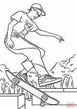Skateboarding Coloring Pages Boy Skateboard Hawk Tony Printable Print Logos Deck Cool Results Template Tech Popular sketch template