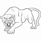 Panther Drawing Animal Coloring Pages Spiderman Kids Pantera Drawings Print Outline Dibujo Draw Easy Negra Panthers Colouring Angry Printable Head sketch template