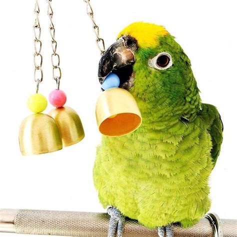 toys ebay pet supplies parrot toys pet bird cage bird toys