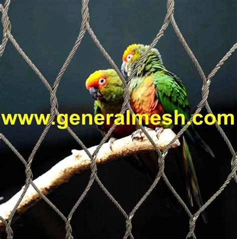 parrot netting parrot cage mesh stainless steel parrot fence nettingdeer cage fence factory