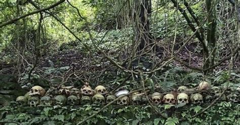 Pemakaman Trunyan Cara Unik Penguburan Di Desa Trunyan Bali