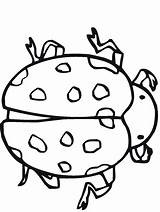 Insects Coloring Pages Bugs Primarygames Bug Insect Science sketch template