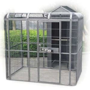 rainforest complete outdoor parrot aviary house parrotize uk