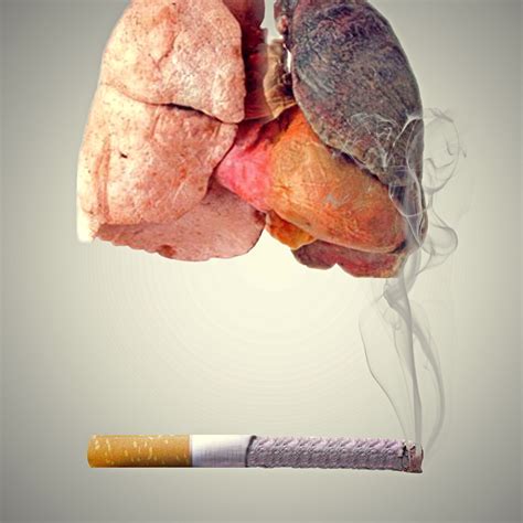 Can Your Lungs Heal From Smoking Cigarettes Bronchitis Contagious