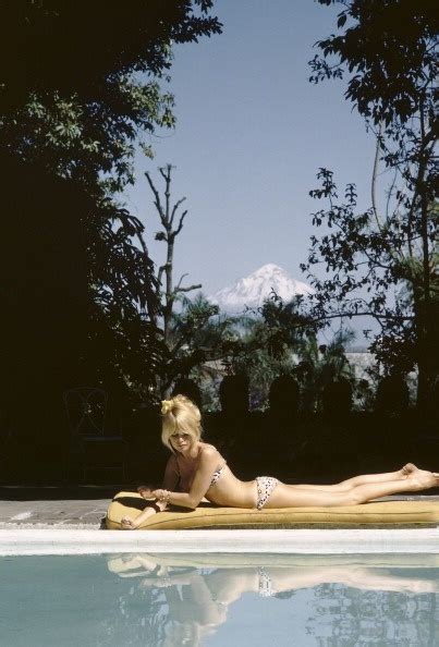 Golden Dreamland Style Icon Brigitte Bardot