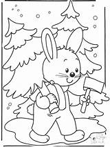 Neige Colorare Sneeuw Konijn Coloriage Kaninchen Coniglio Kerstboom Natale Neve Schnee Kerst Coelho Animaux Lapin Rabbit Choinka Wintertiere Ausmalbilder Coloriages sketch template