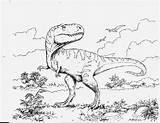 Coloring Rex Pages Dinosaurs sketch template