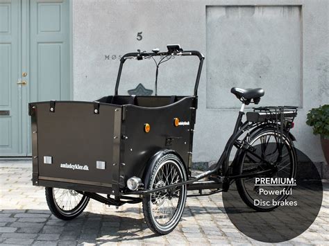 original electric cargo bike lupongovph
