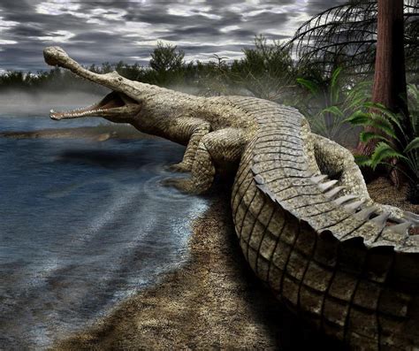 sarcosuchus animales prehistoricos prehistorico animales de la