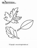 Coloring Leaves Fall Pages Printable Autumn Leaf Clipart Print Coloringprintables Seasonal Color Activities Printables Preschoolers Sheets Thank Please Worksheets Adult sketch template