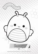 Squishmallows Squishmallow Bugs Noncommercial sketch template