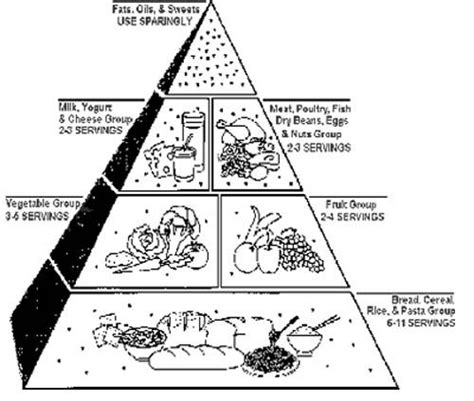food pyramid coloring page  kids color sheets pinterest