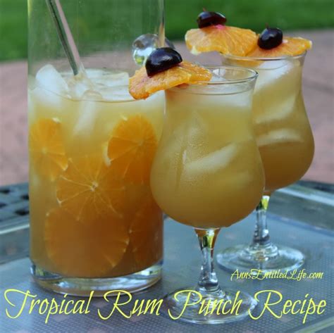 Tropical Rum Punch Recipe