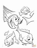 Nemo Finding Coloring sketch template