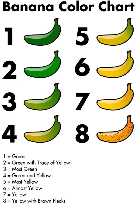 clipart banana color chart