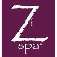 zi spa salon company profile valuation funding investors pitchbook