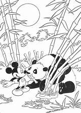 Mickey Safari Coloring Kids Pages Fun Votes Mouse sketch template