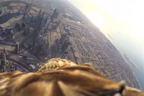 Watch Incredible Video Footage Taken By An Eagle As It Dives Off World