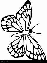Butterflies Monarch Clipartmag Acessar Butterflys sketch template